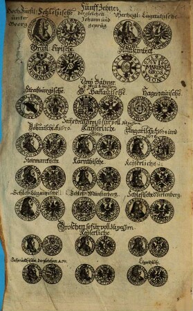 FünffZehner. HochFürstl. Schleßische dergleichen Hertzogl. Lügnützische