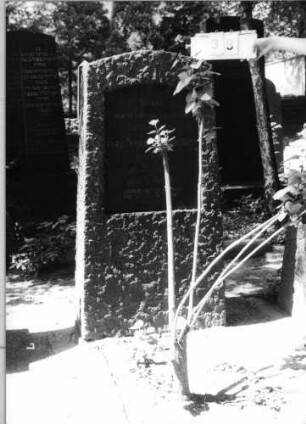 Grabstein 38
