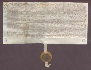Hans Göller, Schultheiß, und genannte Mitglieder des Gerichts zu Östringen beurkunden eine Gültverschreibung des Michael Weiß und seiner Ehefrau Barbara über 20 Gulden gegenüber Johann Rehm, Generalkollektor des Bistums Speyer.