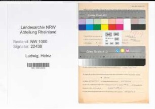 Entnazifizierung Heinz Ludwig, geb. 09.12.1910 (Ingenieur)