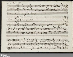 Duetto VII