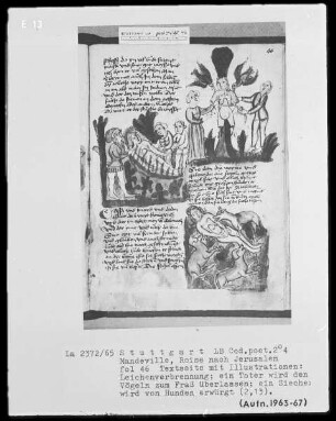 Jean de Mandeville, Reise nach Jerusalem — Textseite mit drei Illustrationen, Folio 46recto