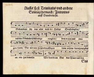 Auffs Fest Trinitatis ...