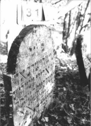Grabstein 316 (Index: 99799793) Material: Sandstein Zustand: verwittert Maße HxBxT: 90x56x7 cm Beschreibung: Stele, eingezogener Rundbogenabschluß: Grabstein 316
