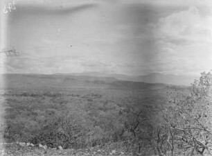 Vegetation : Vegetationslandschaft eines Gebirges