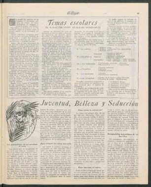 Temas escolares : El carácter como cualidad dominante