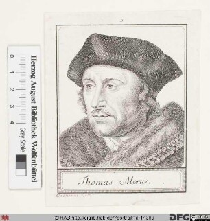Bildnis (Sir) Thomas More (lat. Morus)