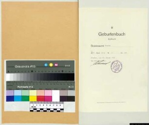 Jahrgang 1894 Nr. 1 - 399