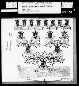 Maximilian Ernst Graf und Herr zu Scherffenberg, Dompropst, Wolfgang Hannibal Graf von Schrattenbach (Schrattenpach), Domdechant, Franz Anthoni Graf von Königsegg, Senior und das ganze Kapitel des Erzstifts Salzburg beglaubigen die hochadelige Geburt der Gräfin Maria Polyxena von Löwenstein, geborene Gräfin Khuen von Lichtenberg (Liechtenberg) und Bellasi.