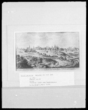 Prospect der Stadt Freyberg, Ansicht von Südosten
