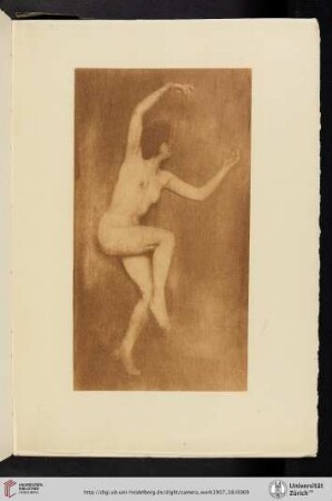 [William B. [Buckingham] Dyer, I. The Spider, photogravure from original gum print]