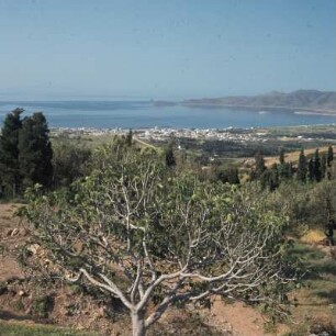 Kárystos, Süd-Euboia