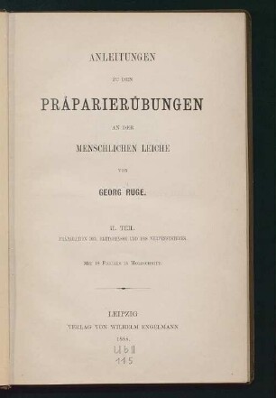 2: Präparation der Blutgefässe und des Nervensystems