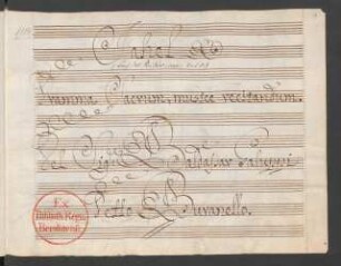 Jahel; V (4), strings