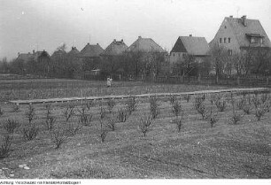 Landwirtschaft, April - Mai 1960
