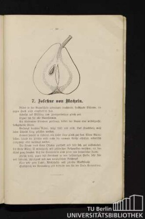 7. Josefine von Mecheln.