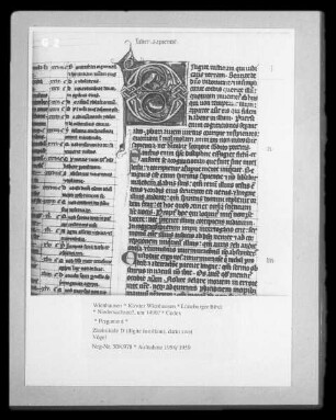 Lüneburger Bibel — Zierinitiale D (iligite iustitiam), darin zwei Vögel