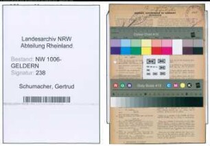 Entnazifizierung Gertrud Schumacher , geb. 03.05.1901 (Assessorin)