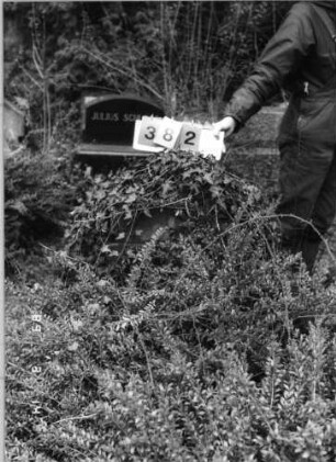Grabstein 382 (Index: 100093422) Zustand: vollkommen mit Efeu überwachsen Maße HxBxT: 98x86x44 cm: Grabstein 382