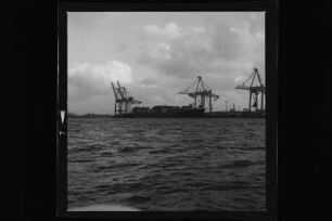 Tor Bay (1994), Niederelbe, Hamburg