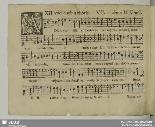 VII. Adiuro vos filiae Jerusalem