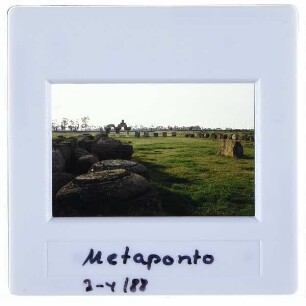 Metaponto, Säulenreste,Metaponto, Ruinenfeld