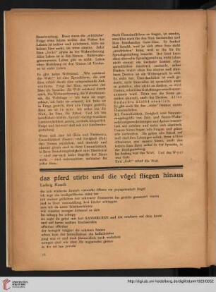 das pferd stirbt und die vögel fliegen hinaus