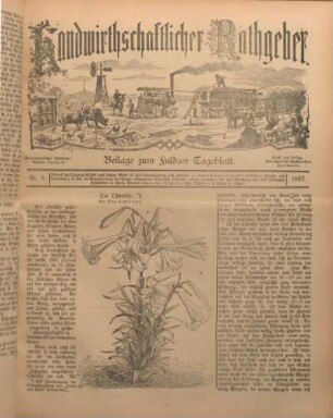 5: Beilage vom Montag, 22. Februar 1897