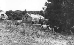 Löbau-Rosenhain. Ehem. Rittergut, ehemals mit Mühle