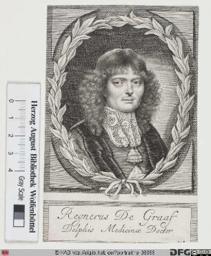 Bildnis Reinier de Graaf