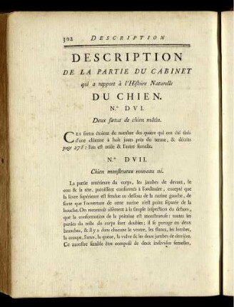 Description De La Partie Du Cabinet qui a rapport à l' Histoire Naturelle Du Chien.