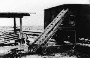Fotografie: Kartoffel, Transportgerät, Be- und Entladen, Förderband
