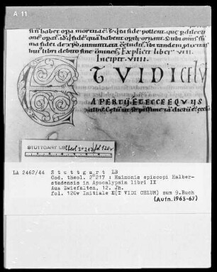 Haimonis in Apocalypsin libri 9 — Initiale E(t vidi celum), Folio 120verso