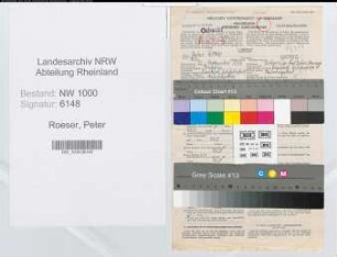 Entnazifizierung Peter Roeser, geb. 25.09.1877 (Verw.Inspektor)