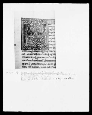 Biblia Latina: Fol. 35 r.?: Initiale H