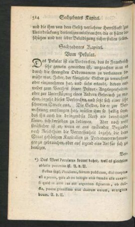 Sechzehntes Kapitel. Vom Pekulat
