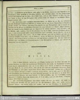 XVI. Keller