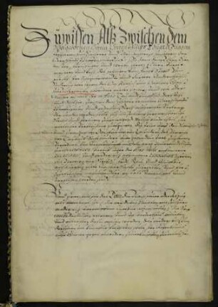 Philipp Eduard Fugger zu Kirchberg [Illerkirchberg/Alb-Donau-Kreis] und Weißenhorn [Lkr. Neu-Ulm] als Inhaber der Herrschaft Pfaffenhofen [a. d. Roth/Lkr. Neu-Ulm] auf der einen Seite sowie die Ratsälteren, der Bürgermeister und der Rat der Stadt Ulm legen vertraglich Streitigkeiten über die Rechte der Herrschaft Pfaffenhofen bzw. der Reichsstadt Ulm und des dortigen Heiliggeistspitals [abgegangen, Bereich Neue Straße, Lagerbuch 261/2, 254] in den Dörfern Niederhausen [Gde. Pfaffenhofen a. d. Roth/Lkr. Neu-Ulm], Erbishofen [Gde. Pfaffenhofen a. d. Roth/Lkr. Neu-Ulm] und Ettlishofen [Gde. Bibertal/Lkr. Günzburg] bei.