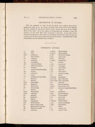 Reference Letters