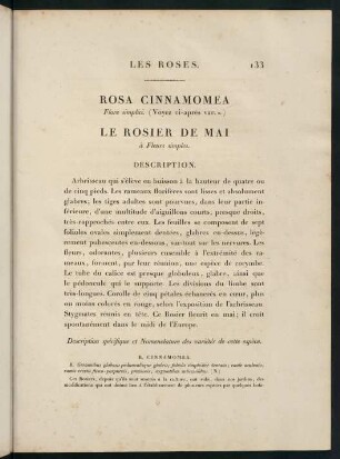 133-134, Rosa Cinnamomea (Flore simplici). Le Rosier de Mai (à Fleurs simples.)