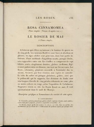 133-134, Rosa Cinnamomea (Flore simplici). Le Rosier de Mai (à Fleurs simples.)