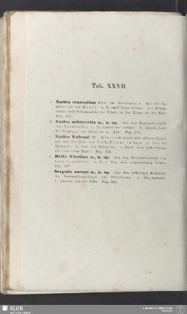 Tab. XXVII.