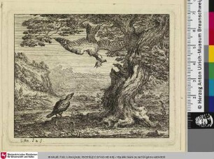 [Der Rabe und der Falke; Le Corbeau et le Faucon]
