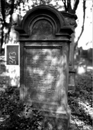 Grabstein 313 (Index: 100111990) Material: Sandstein Zustand: leicht verwittert Maße HxBxT: 140x59x30 cm Beschreibung: Stele, profilierter Sockel, eingezogener Rundbogenabschluß mit Verdachung, rechteckiges Schriftfeld eingetieft: Grabstein 313