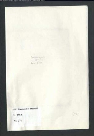Gogerichtsregister Stadt Horn (Bruchstücke)