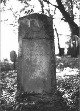 Grabstein 586 (Index: 99900727) Material: Sandstein Zustand: stark verwittert Maße HxBxT: 145x59x23 cm Beschreibung: aufgesockelte Stele mit Dreiecksabschluss, eingetiefter Rahmen, im Dreiecksfeld plastische Urne, mit Tuch bedeckt Symbolik: Urne, mit Tuch bedeckt: Grabstein 586