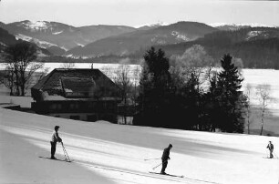 Titisee: Skiläufer am See