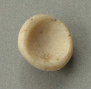 Muschelschale