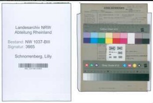 Entnazifizierung Lilly Schnorrenberg , geb. 16.12.1909 (Gastwirt)