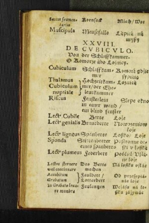 XXVIII. De Cvbicvlo.